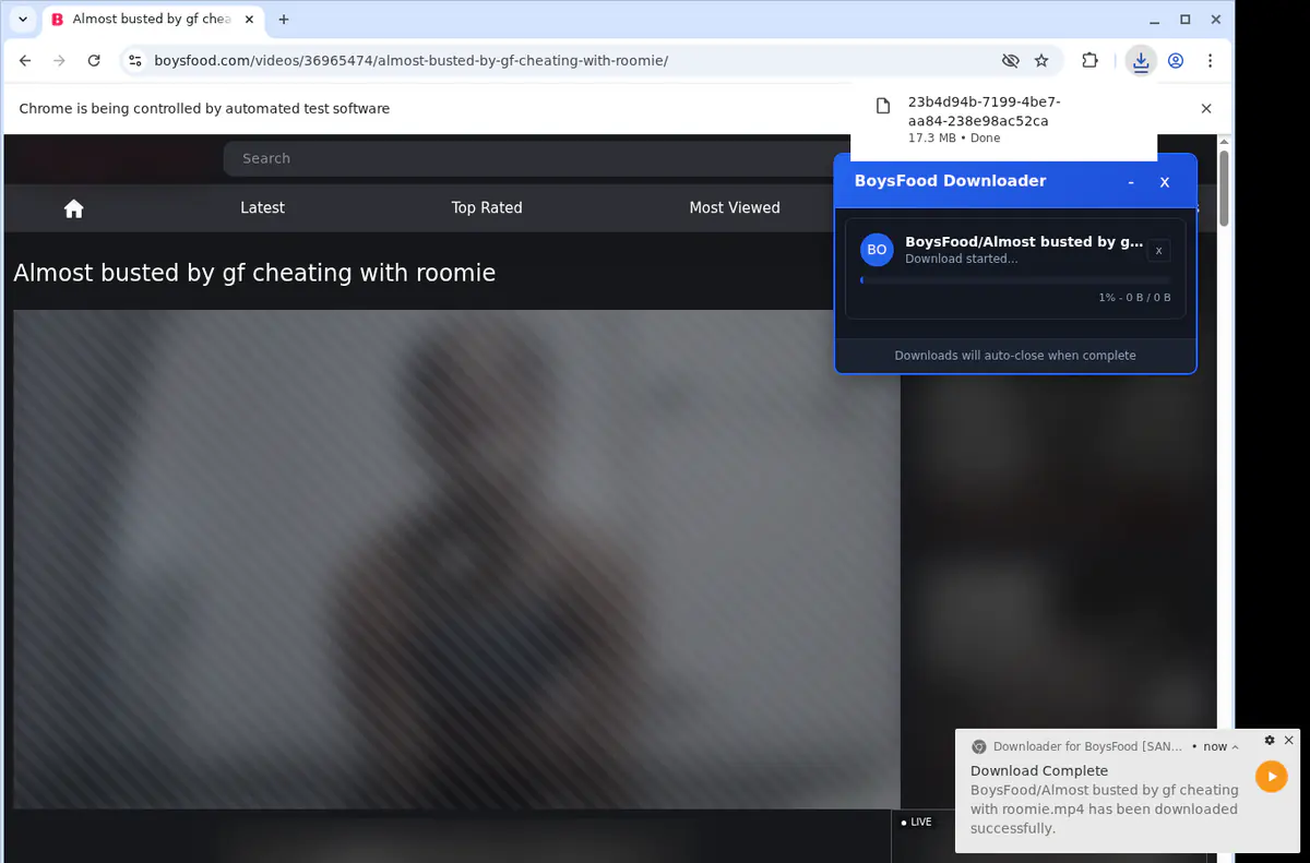 Boysfood Video Downloader browser extension screenshot 2