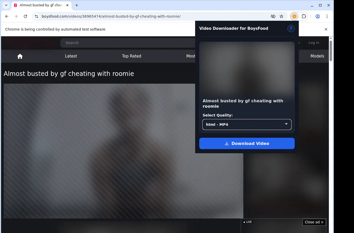 Boysfood Video Downloader browser extension screenshot 3