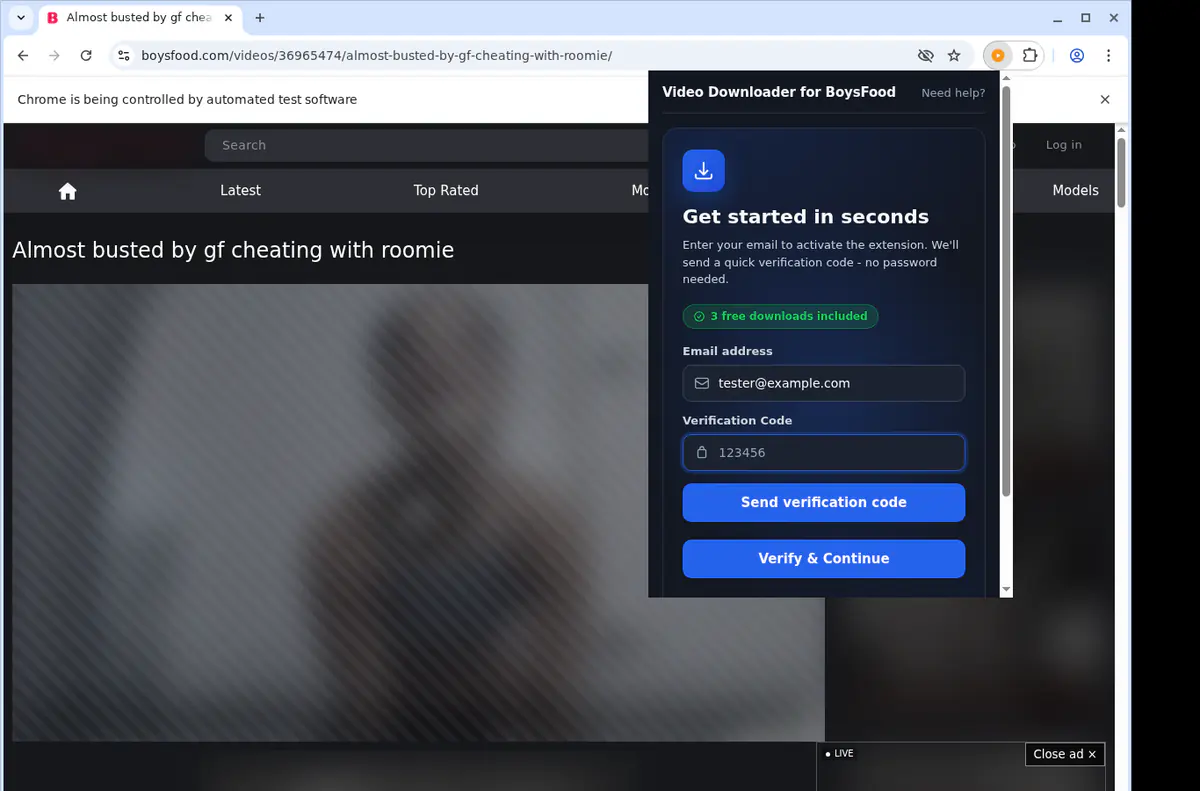 Boysfood Video Downloader browser extension screenshot 4